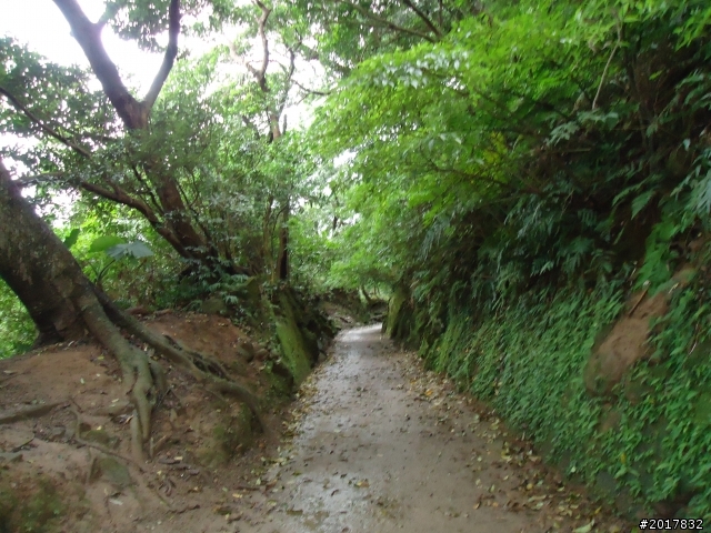 2012/01/23新春過年台北市天母古道行