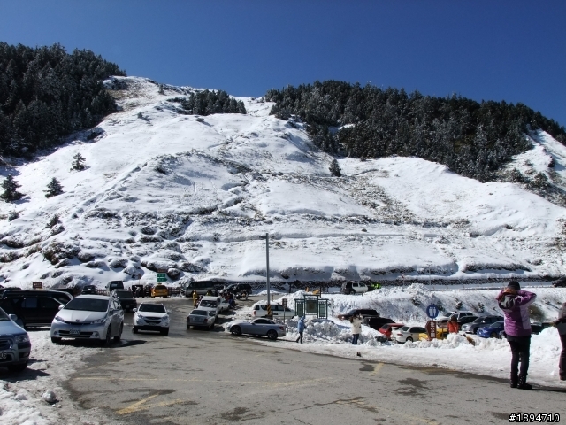 分享1月28日合歡山的雪~~