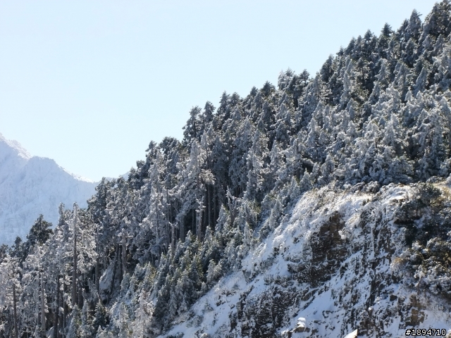 分享1月28日合歡山的雪~~