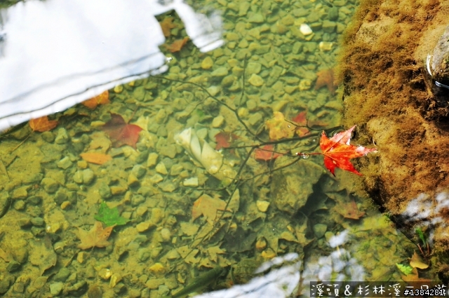 [景點] 杉林溪森林生態渡假園區 - 松瀧岩瀑布