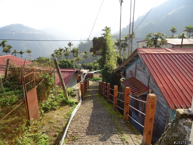 2012-01-29瑞太古道(純圖片)