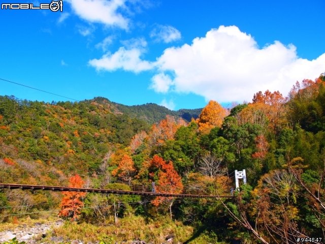 秋楓到冬楓...2011/11/06武陵and福壽山,11/12石門水庫,11/27武陵and福壽山~2012/01/01桃源仙谷,01/08尖石秀巒