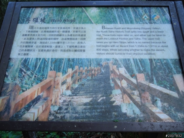 2012-01-29瑞太古道(純圖片)