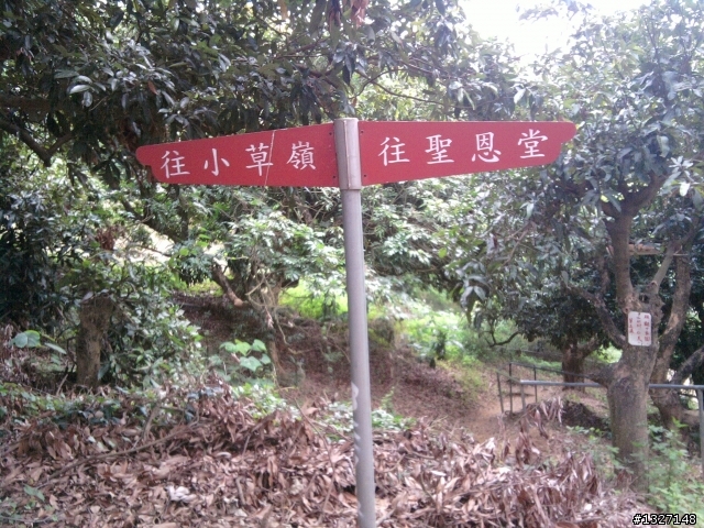 鳥松 坔埔山
