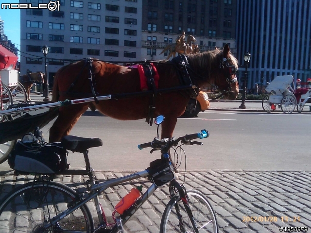 回紐約過年騎車(2)......寒冷中前進.....中央公園(central park)之美!