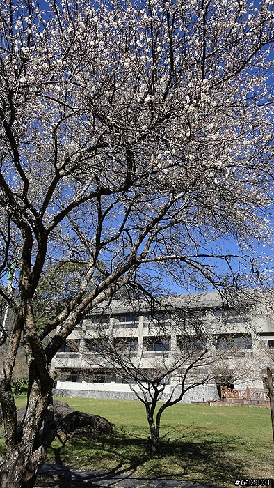 101/01/07-高雄-旗山-美瓏山-梅山口-藤枝--新增油耗記錄