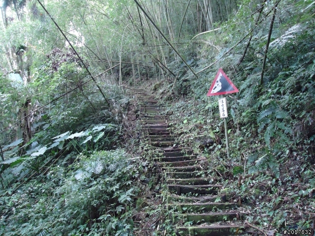2012-01-29瑞太古道(純圖片)