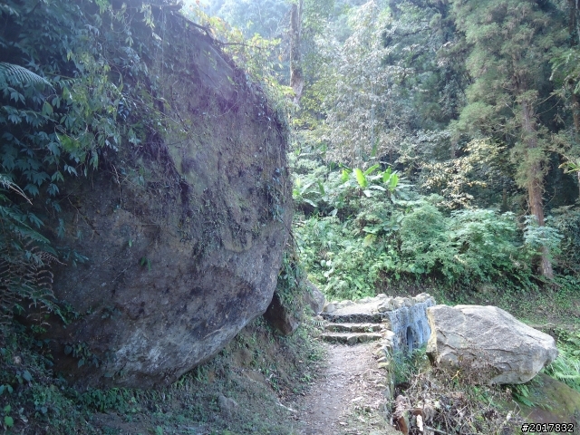 2012-01-29瑞太古道(純圖片)