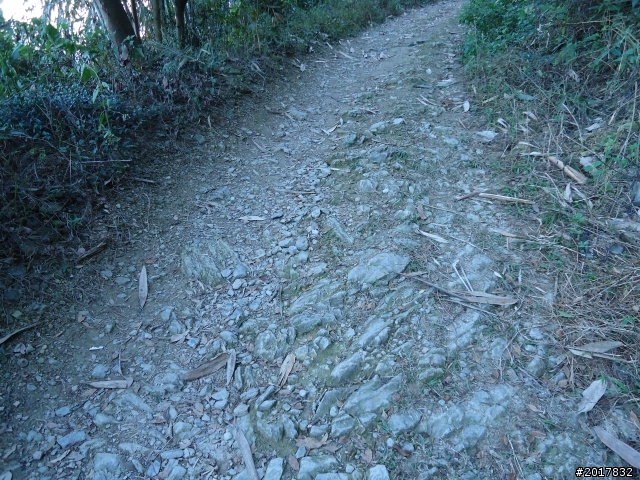 2012/01/19高雄大津尾寮山