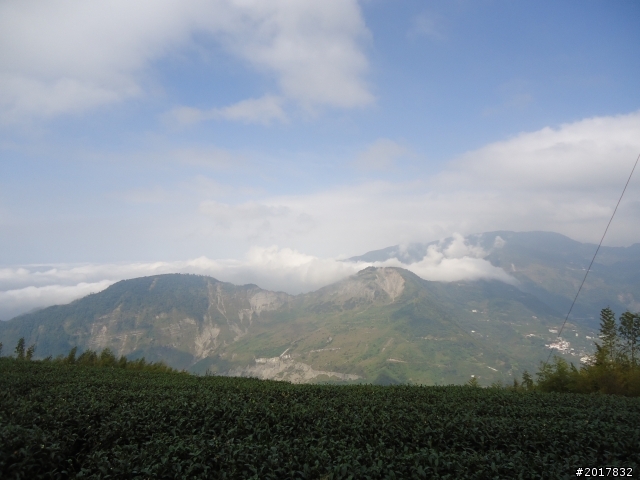 2012-01-29瑞太古道(純圖片)