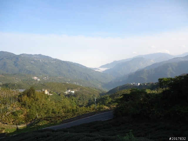 2012-01-29瑞太古道(純圖片)