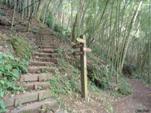 2012-01-29瑞太古道(純圖片)