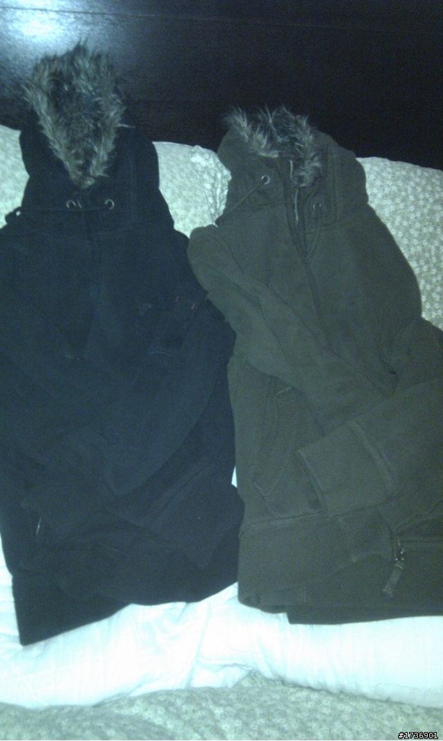 [分享]American Eagle 在上海 + 上海麋鹿