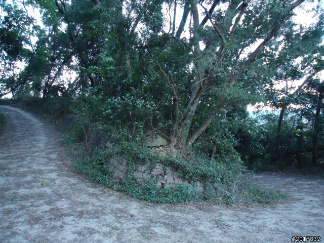 2012/01/19高雄大津尾寮山