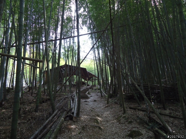 2012-01-29瑞太古道(純圖片)