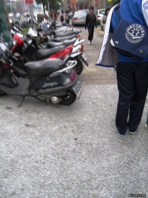 【城市漫遊Ⅶ】迷路原為看花開～萬年縣傳奇