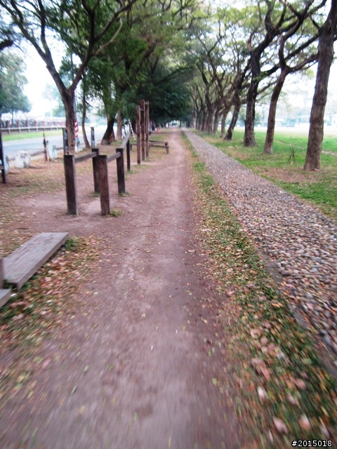 【城市漫遊Ⅶ】迷路原為看花開～萬年縣傳奇