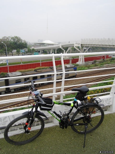 【城市漫遊Ⅶ】迷路原為看花開～萬年縣傳奇