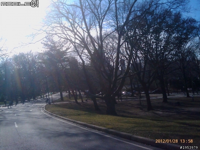 回紐約過年騎車(2)......寒冷中前進.....中央公園(central park)之美!