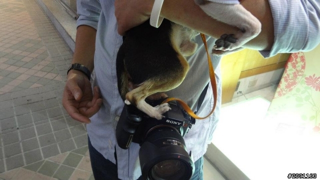 Sony DSC WX7 宜蘭礁溪隨手拍