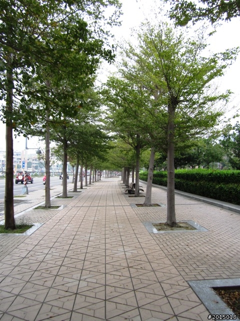 【城市漫遊Ⅶ】迷路原為看花開～萬年縣傳奇