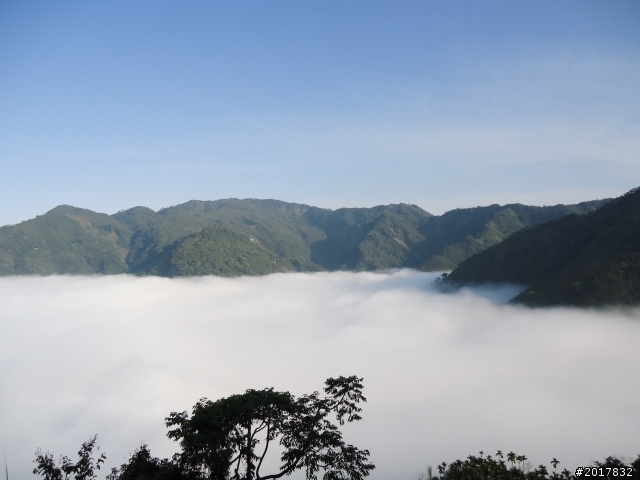 2012-01-29瑞太古道(純圖片)