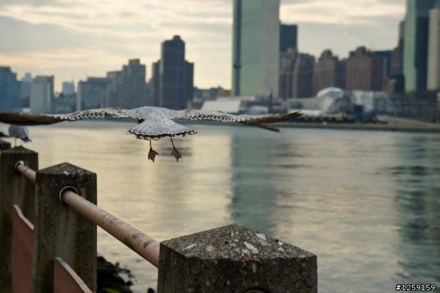 Nex5@NYC蓋大樓