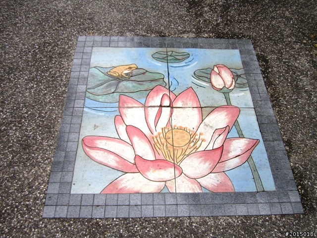 【城市漫遊Ⅶ】迷路原為看花開～萬年縣傳奇