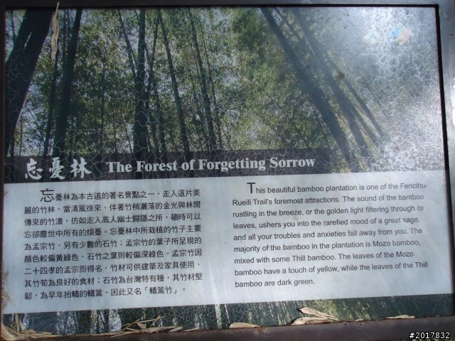 2012-01-29瑞太古道(純圖片)