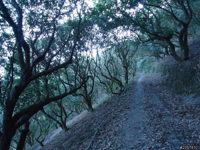 2012/01/19高雄大津尾寮山