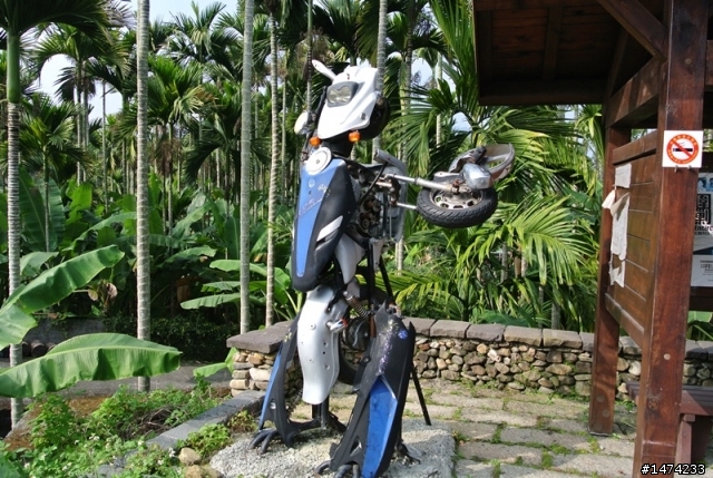 烏松崙賞梅沒咩陪 哭哭
