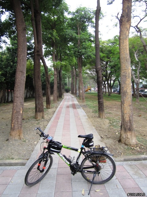 【城市漫遊Ⅶ】迷路原為看花開～萬年縣傳奇