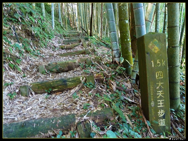 2012.01.10_台灣四大天王山之「四天皇山」登山休閒趣！