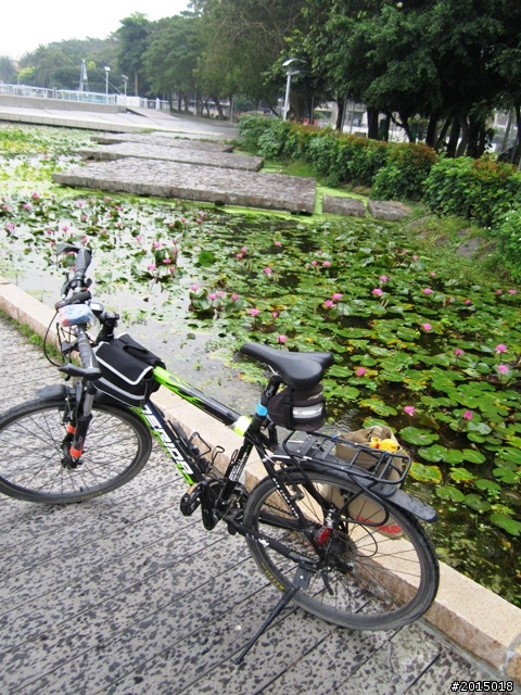 【城市漫遊Ⅶ】迷路原為看花開～萬年縣傳奇