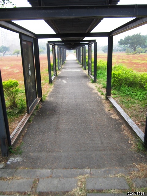 【城市漫遊Ⅶ】迷路原為看花開～萬年縣傳奇