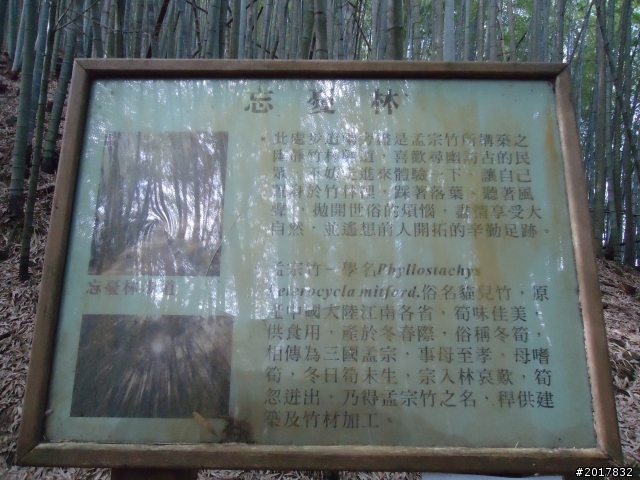 2012-01-29瑞太古道(純圖片)