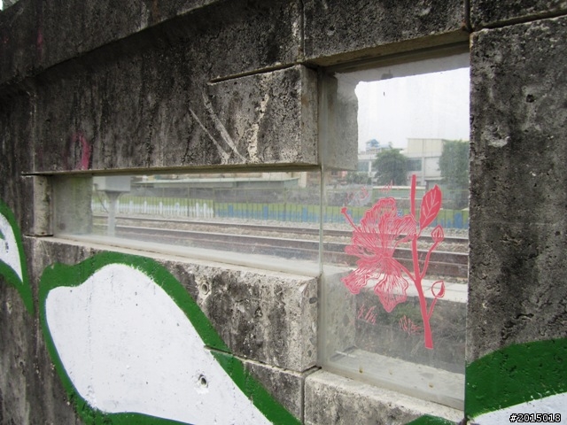 【城市漫遊Ⅶ】迷路原為看花開～萬年縣傳奇