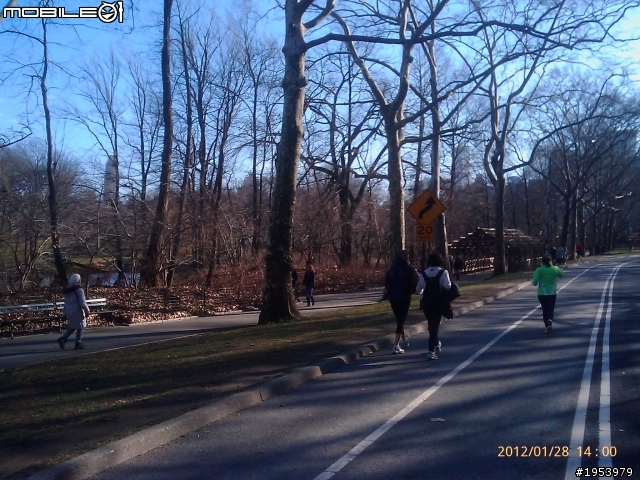 回紐約過年騎車(2)......寒冷中前進.....中央公園(central park)之美!