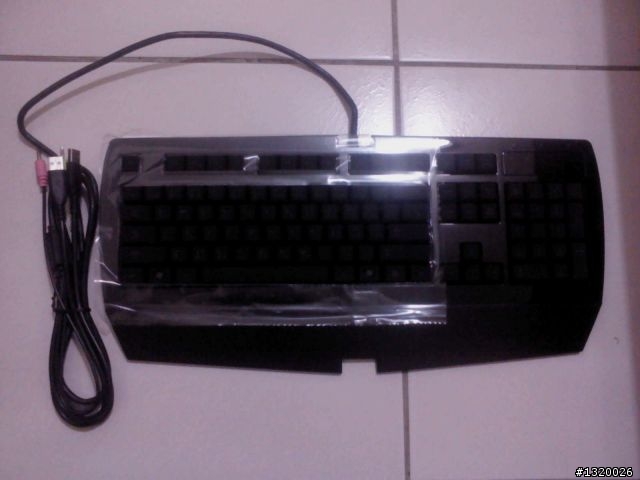 簡易開箱~黑腹狼蛛