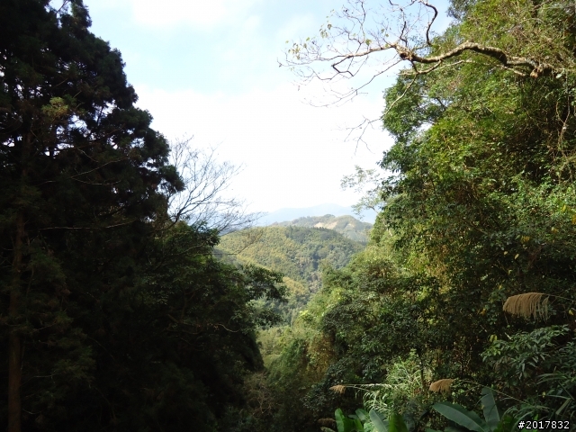 2012-01-29瑞太古道(純圖片)