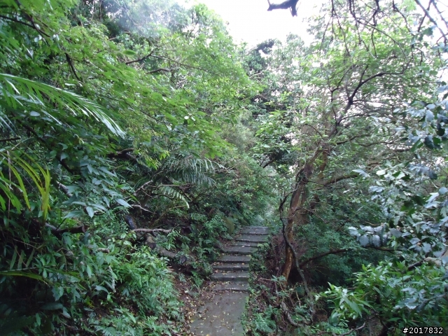 2012/01/23新春過年台北市天母古道行