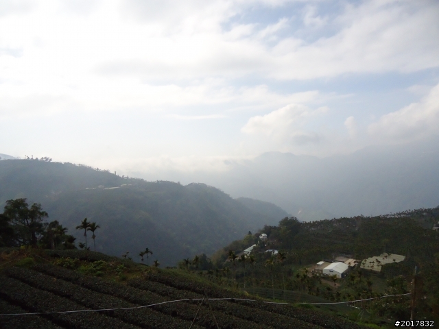 2012-01-29瑞太古道(純圖片)