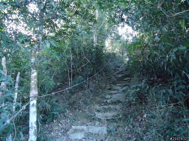 2012/01/19高雄大津尾寮山