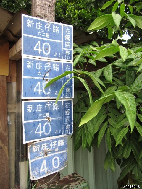 【城市漫遊Ⅶ】迷路原為看花開～萬年縣傳奇