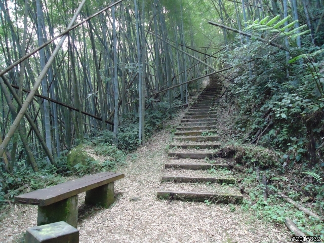 2012-01-29瑞太古道(純圖片)