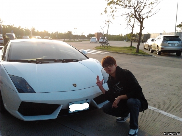 休息站也能遇到小白牛!!