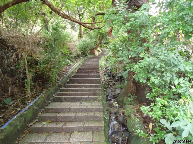 2012/01/23新春過年台北市天母古道行