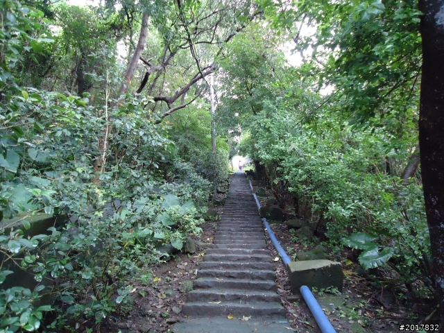 2012/01/23新春過年台北市天母古道行