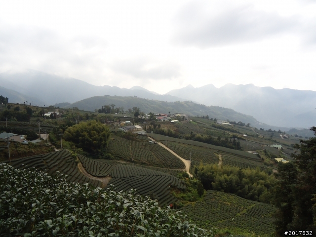 2012-01-29瑞太古道(純圖片)