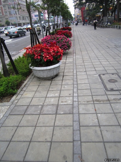 【城市漫遊Ⅶ】迷路原為看花開～萬年縣傳奇